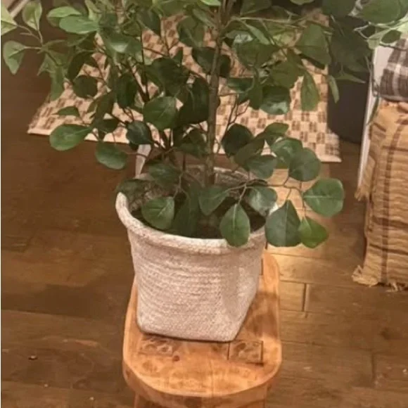 NWT Faux Ficus Tree - Threshold designed with Studio McGee - Picture 6 of 12